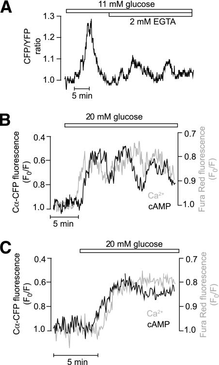 https://cdn.ncbi.nlm.nih.gov/pmc/blobs/d8c4/3292328/d72e25db0f08/1535fig5.jpg