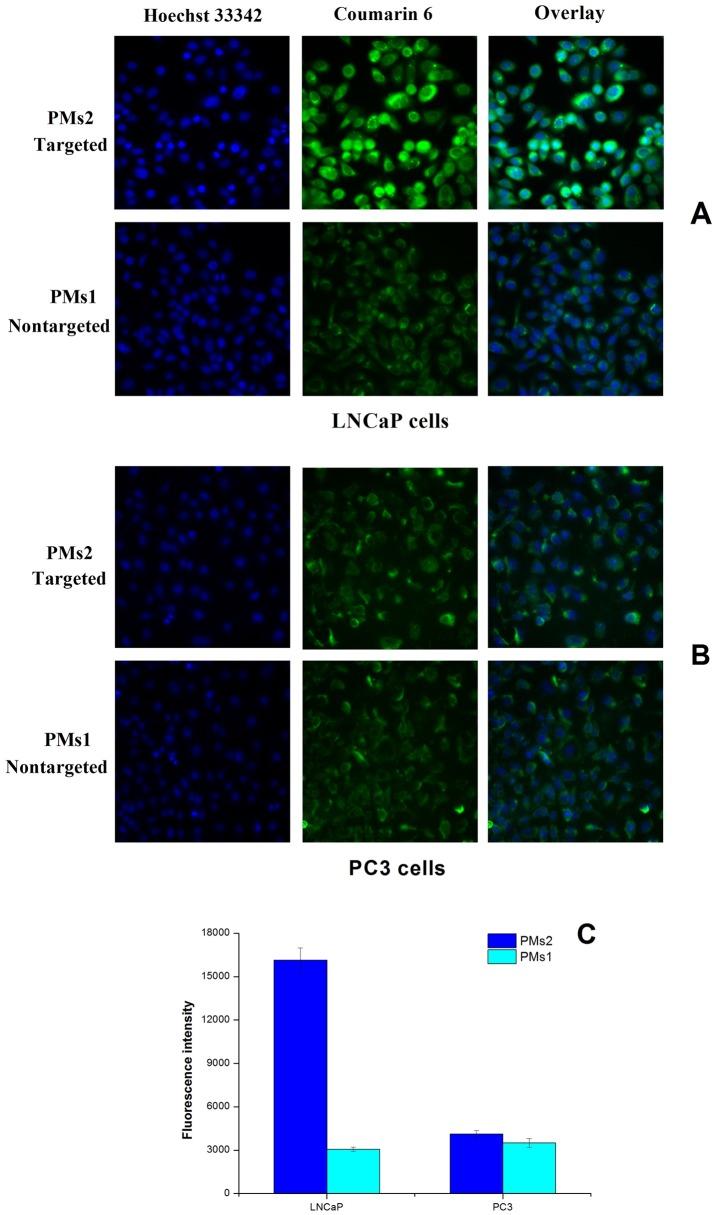https://cdn.ncbi.nlm.nih.gov/pmc/blobs/d8c4/4227701/cfe3cf8a69b0/pone.0112200.g009.jpg