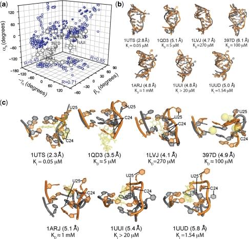 https://cdn.ncbi.nlm.nih.gov/pmc/blobs/d8c5/2699496/bdca9dea63a4/gkp156f5.jpg