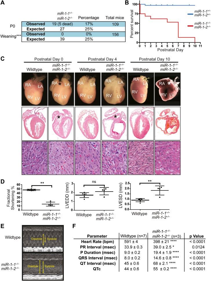 https://cdn.ncbi.nlm.nih.gov/pmc/blobs/d8c5/3833424/487c9e94297d/elife01323f002.jpg
