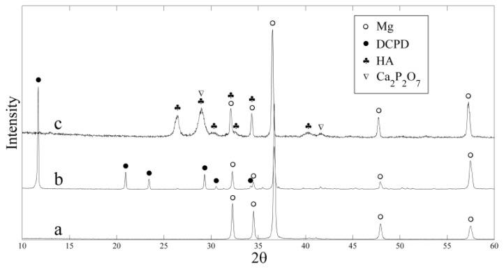 https://cdn.ncbi.nlm.nih.gov/pmc/blobs/d8c6/3876066/02fa3a6b7b21/ijms-14-23614f1.jpg