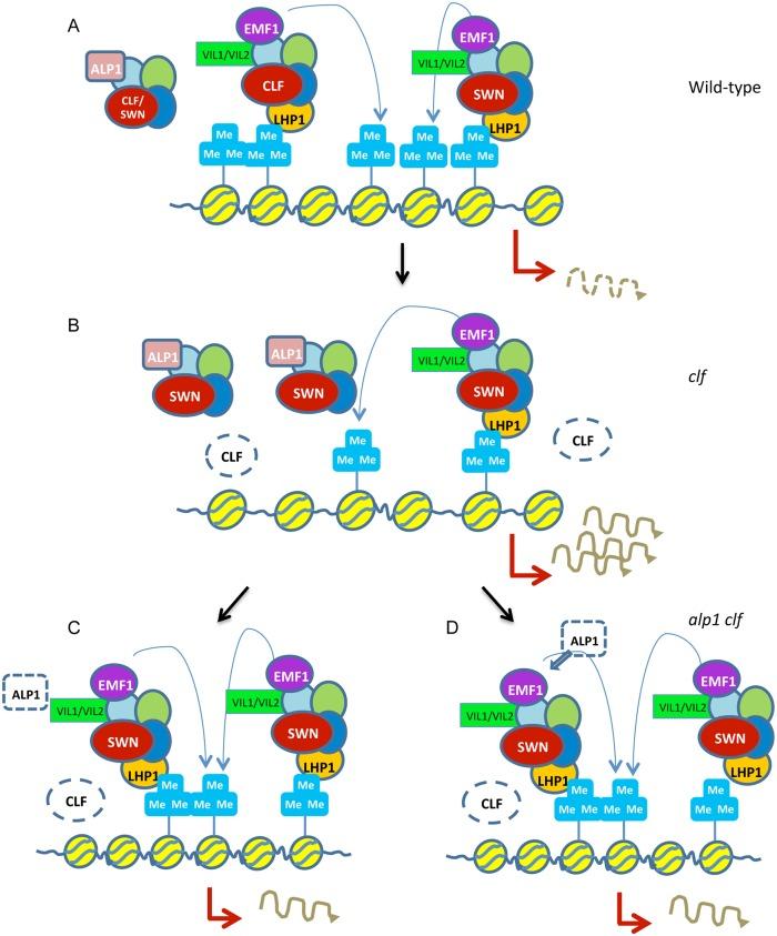 https://cdn.ncbi.nlm.nih.gov/pmc/blobs/d8c7/4671723/b5e4cf0844c9/pgen.1005660.g006.jpg
