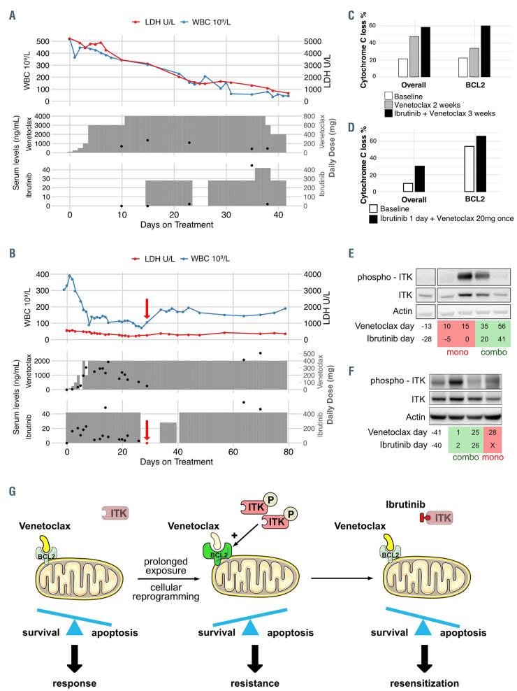https://cdn.ncbi.nlm.nih.gov/pmc/blobs/d8c7/8327744/973a0c139a21/1062251.fig2.jpg
