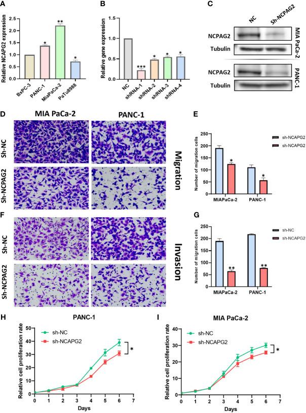 https://cdn.ncbi.nlm.nih.gov/pmc/blobs/d8c9/9911455/c0bac4548ef7/fimmu-14-1097403-g009.jpg