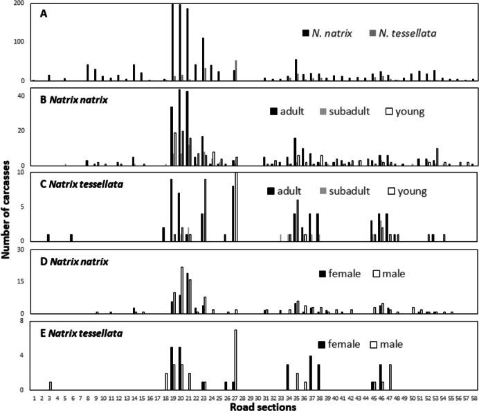 https://cdn.ncbi.nlm.nih.gov/pmc/blobs/d8ca/11439389/925fd8e4f6b5/peerj-12-17923-g004.jpg