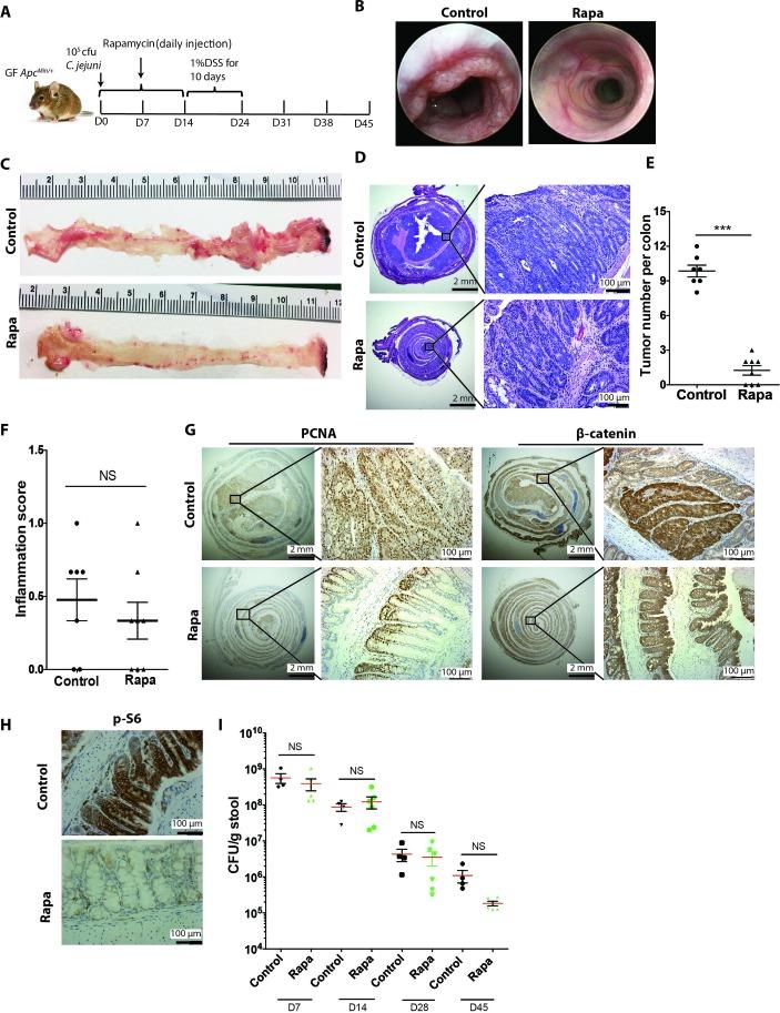 https://cdn.ncbi.nlm.nih.gov/pmc/blobs/d8ca/6352414/00d6d2172dfe/gutjnl-2018-317200f06.jpg