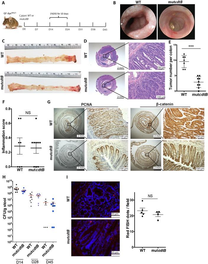 https://cdn.ncbi.nlm.nih.gov/pmc/blobs/d8ca/6352414/4d56d0f8d4aa/gutjnl-2018-317200f03.jpg