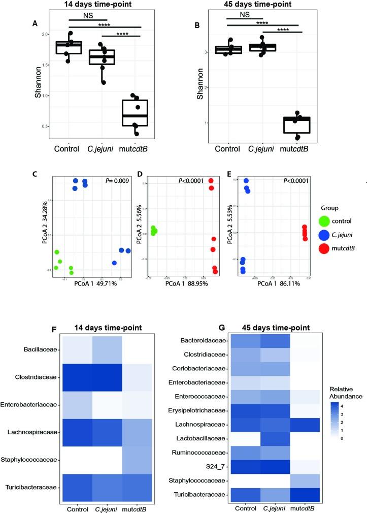 https://cdn.ncbi.nlm.nih.gov/pmc/blobs/d8ca/6352414/eb2278e369e7/gutjnl-2018-317200f05.jpg