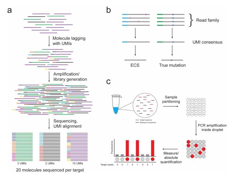 https://cdn.ncbi.nlm.nih.gov/pmc/blobs/d8cb/5615280/66734e825a74/jcm-06-00087-g001.jpg