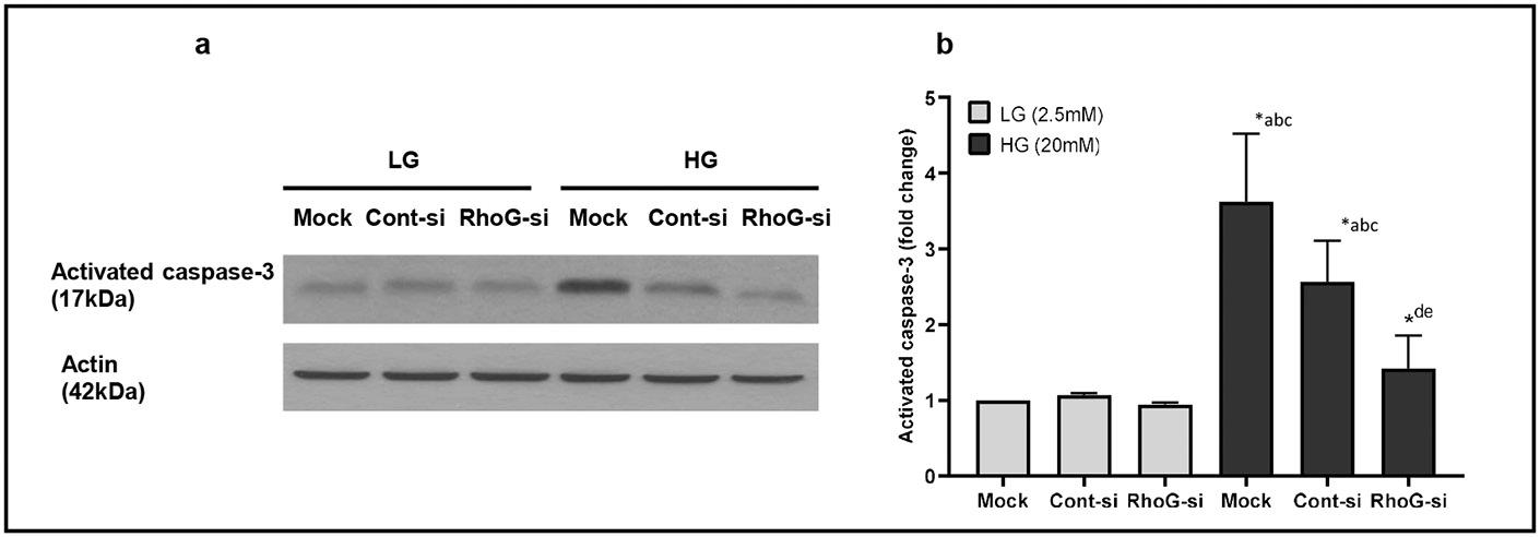https://cdn.ncbi.nlm.nih.gov/pmc/blobs/d8cc/11724327/25455b134a32/nihms-2045828-f0005.jpg