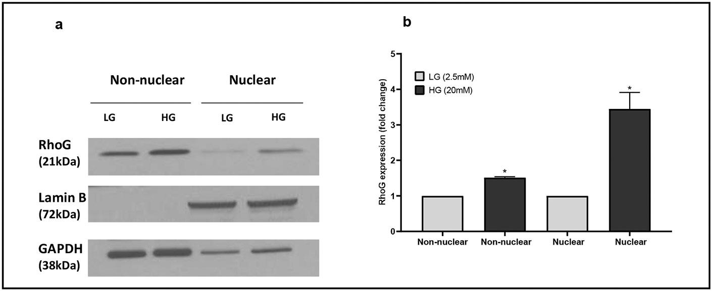 https://cdn.ncbi.nlm.nih.gov/pmc/blobs/d8cc/11724327/ba35cfc1bb29/nihms-2045828-f0003.jpg