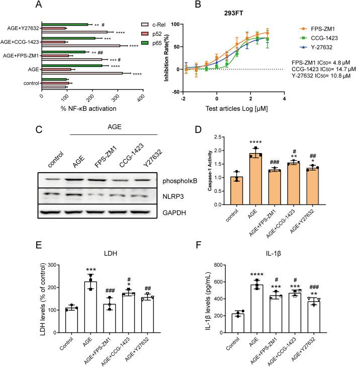 https://cdn.ncbi.nlm.nih.gov/pmc/blobs/d8cd/12367564/2e17a90798fc/ebm-250-10527-g003.jpg