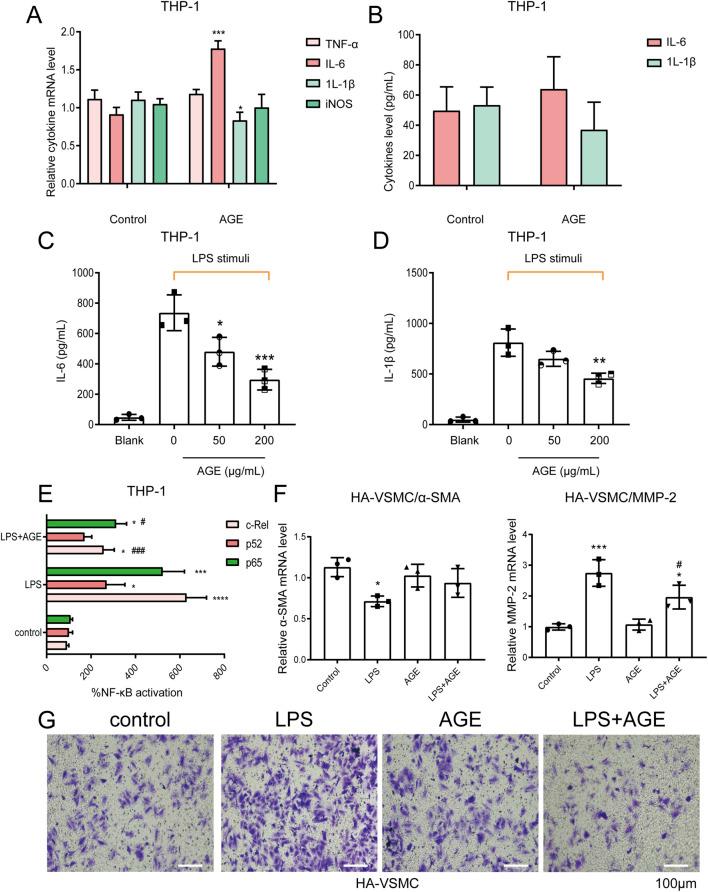 https://cdn.ncbi.nlm.nih.gov/pmc/blobs/d8cd/12367564/aee9e55cfeac/ebm-250-10527-g006.jpg