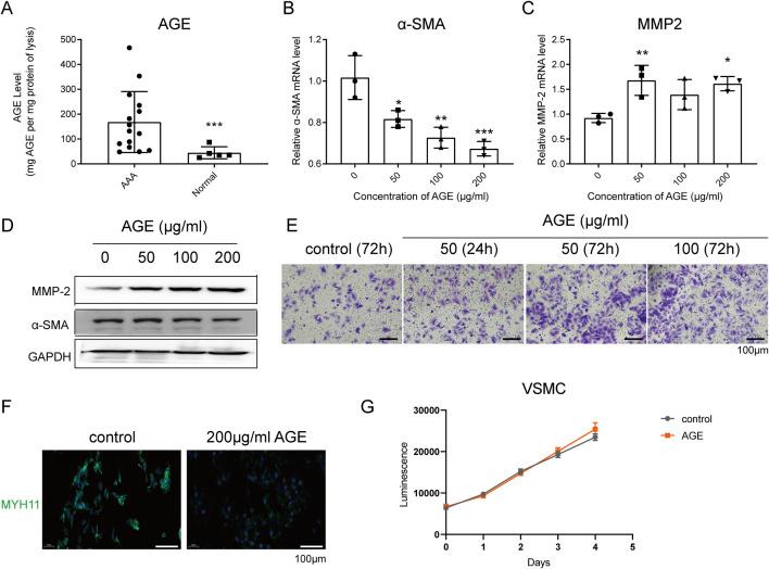 https://cdn.ncbi.nlm.nih.gov/pmc/blobs/d8cd/12367564/b4611ded543a/ebm-250-10527-g001.jpg