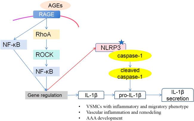 https://cdn.ncbi.nlm.nih.gov/pmc/blobs/d8cd/12367564/d09358f0ae2c/ebm-250-10527-g007.jpg
