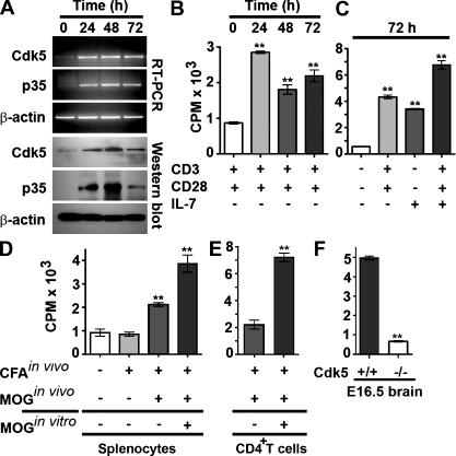 https://cdn.ncbi.nlm.nih.gov/pmc/blobs/d8cd/2964575/903eb715e71b/JEM_20100876_GS_Fig2.jpg