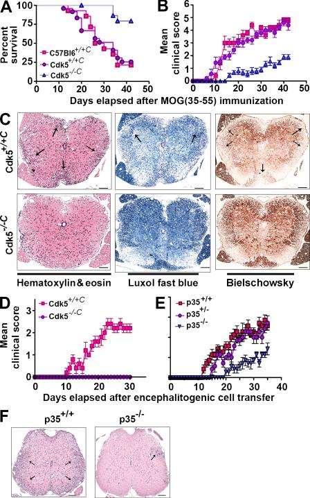 https://cdn.ncbi.nlm.nih.gov/pmc/blobs/d8cd/2964575/be8cfbaa0814/JEM_20100876_RGB_Fig4.jpg