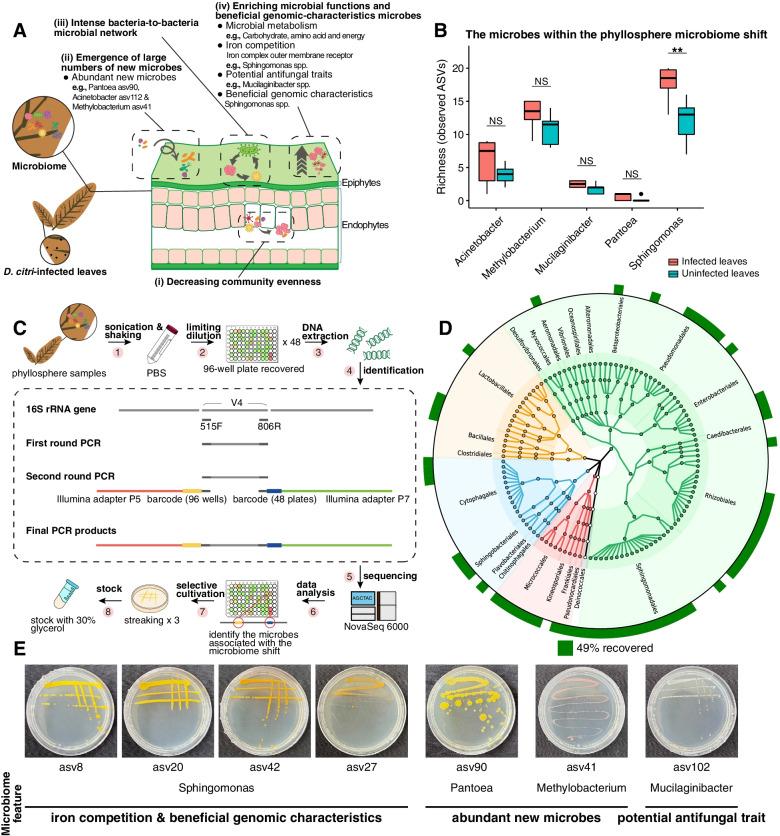 https://cdn.ncbi.nlm.nih.gov/pmc/blobs/d8ce/8976405/2b4008ec99d4/40168_2022_1234_Fig7_HTML.jpg