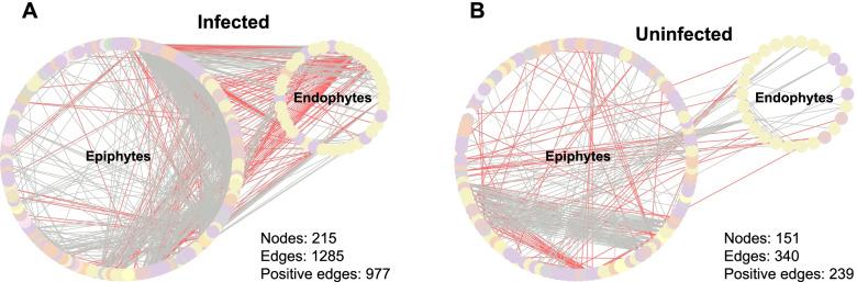 https://cdn.ncbi.nlm.nih.gov/pmc/blobs/d8ce/8976405/6ffafc93afb9/40168_2022_1234_Fig4_HTML.jpg