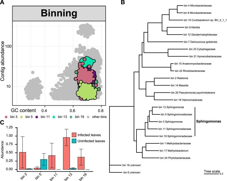 https://cdn.ncbi.nlm.nih.gov/pmc/blobs/d8ce/8976405/9c53f902db77/40168_2022_1234_Fig6_HTML.jpg