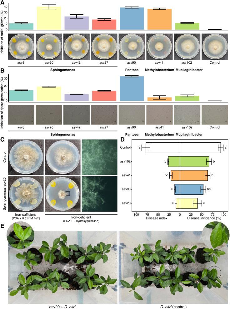 https://cdn.ncbi.nlm.nih.gov/pmc/blobs/d8ce/8976405/becb97dc1a91/40168_2022_1234_Fig8_HTML.jpg