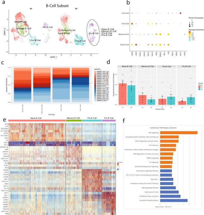 https://cdn.ncbi.nlm.nih.gov/pmc/blobs/d8cf/9879959/00d4aa697229/41525_2022_340_Fig5_HTML.jpg