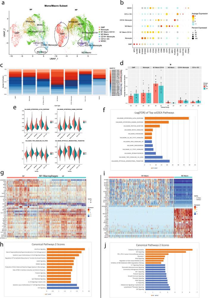 https://cdn.ncbi.nlm.nih.gov/pmc/blobs/d8cf/9879959/e1f5804d7376/41525_2022_340_Fig4_HTML.jpg