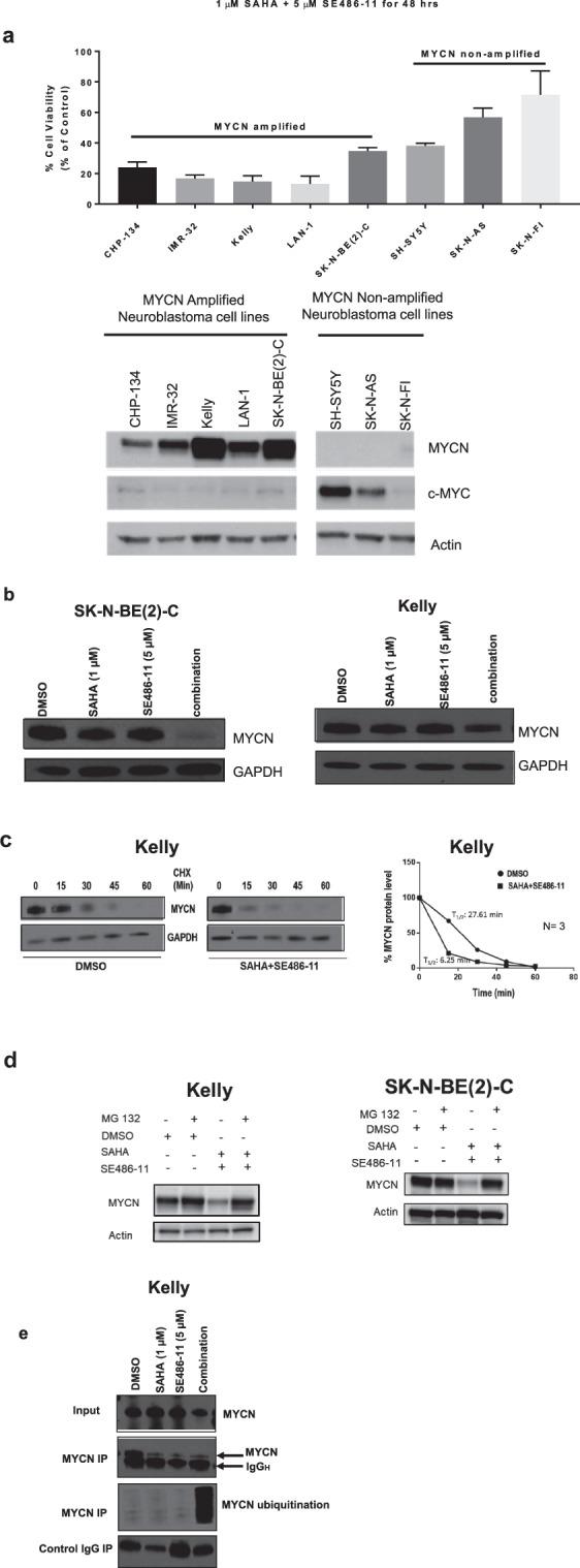 https://cdn.ncbi.nlm.nih.gov/pmc/blobs/d8d1/8016666/d348e0ef0579/41388_2021_1712_Fig3_HTML.jpg