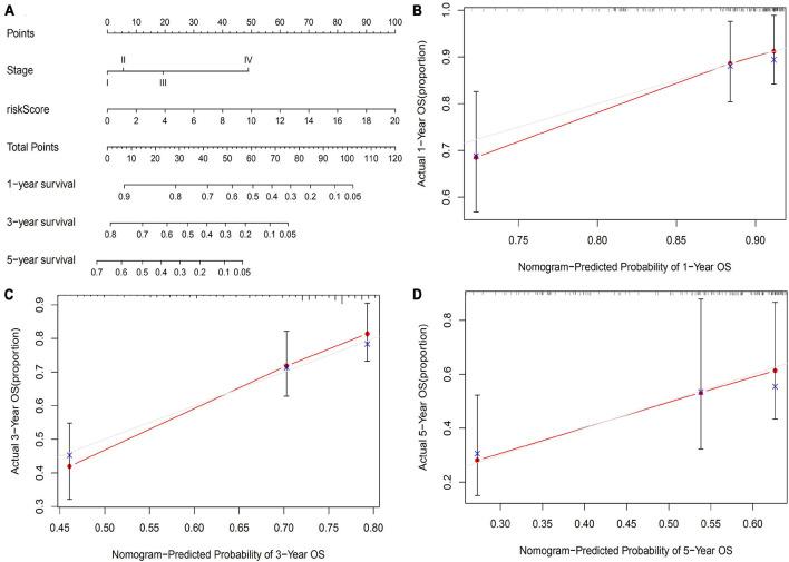 https://cdn.ncbi.nlm.nih.gov/pmc/blobs/d8d2/8523793/10e4b0c9c54c/fcell-09-728574-g005.jpg