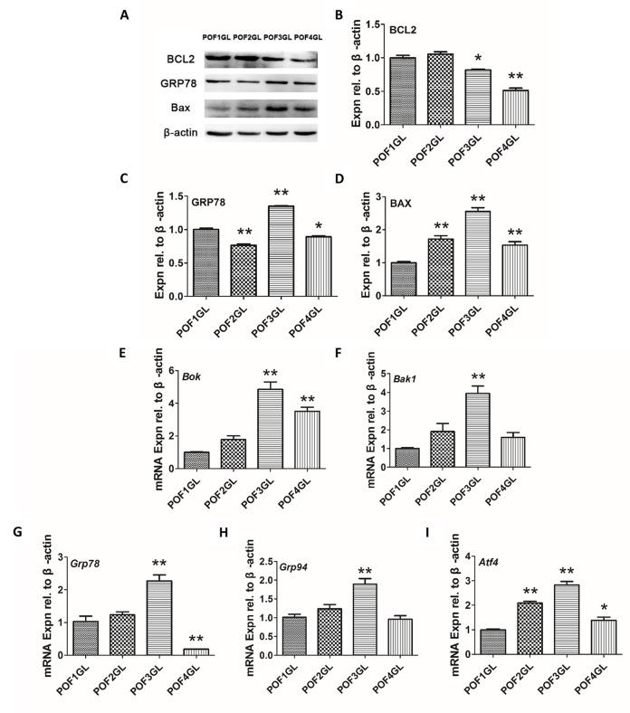 https://cdn.ncbi.nlm.nih.gov/pmc/blobs/d8d3/5940126/da4aeb3035d5/aging-10-101436-g006.jpg