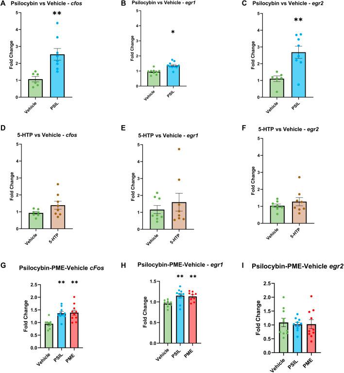 https://cdn.ncbi.nlm.nih.gov/pmc/blobs/d8d7/11063716/a11c3ccd07e8/fphar-15-1391412-g001.jpg