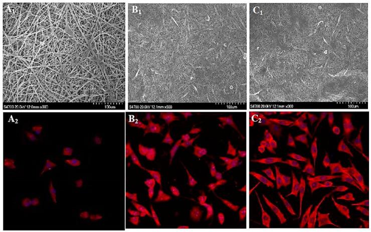 https://cdn.ncbi.nlm.nih.gov/pmc/blobs/d8d7/11547767/5e199ef721a2/materials-17-05379-g011.jpg