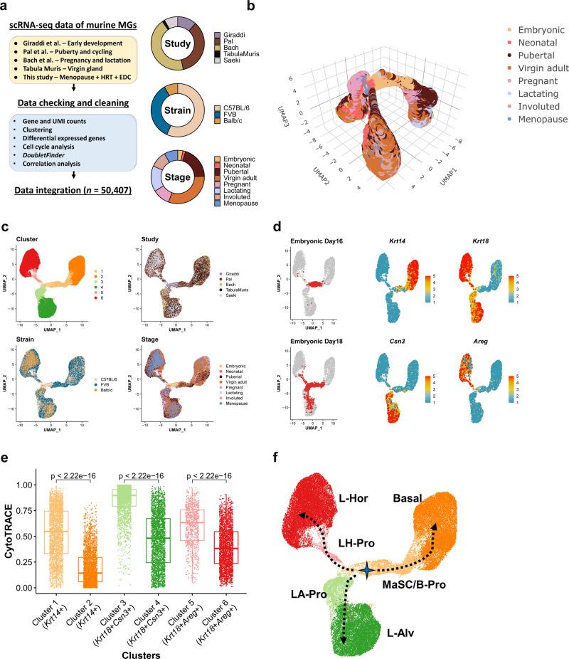 https://cdn.ncbi.nlm.nih.gov/pmc/blobs/d8d7/8172904/8d40e30253da/42003_2021_2201_Fig1_HTML.jpg