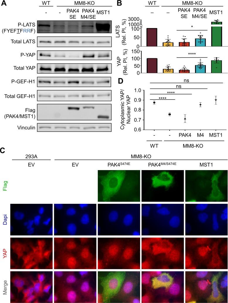https://cdn.ncbi.nlm.nih.gov/pmc/blobs/d8da/6445471/b8e772cdeb82/pbio.2006540.g008.jpg