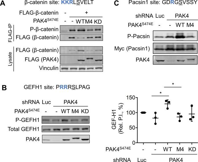 https://cdn.ncbi.nlm.nih.gov/pmc/blobs/d8da/6445471/bcee7dcc7421/pbio.2006540.g006.jpg
