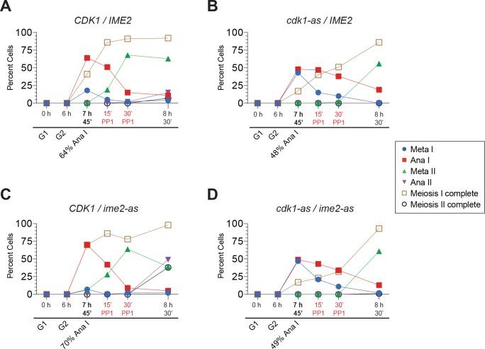 https://cdn.ncbi.nlm.nih.gov/pmc/blobs/d8db/5805409/66d98b5405e5/elife-33309-fig5-figsupp1.jpg