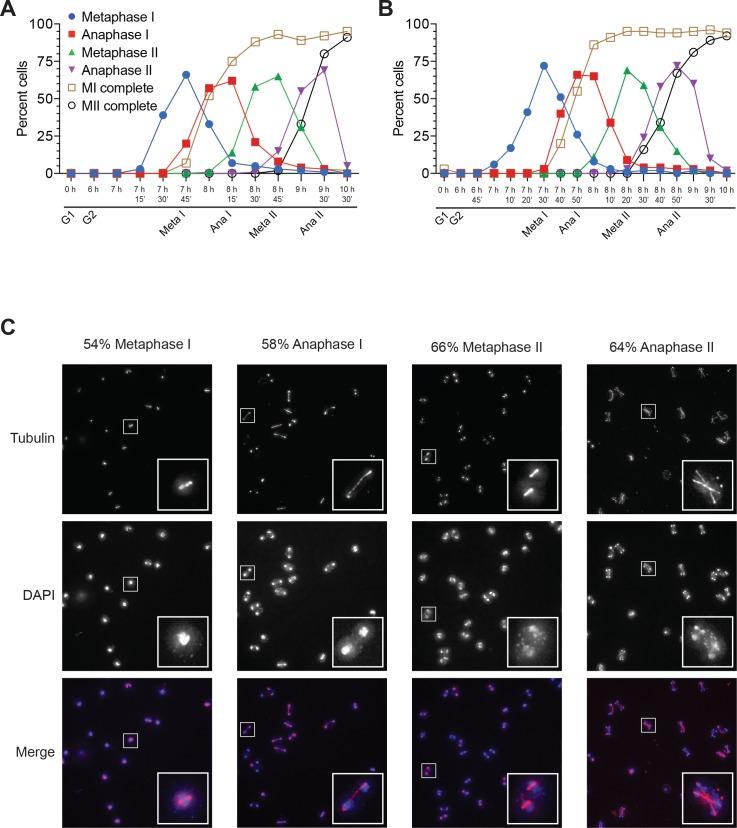 https://cdn.ncbi.nlm.nih.gov/pmc/blobs/d8db/5805409/c8305198d0b3/elife-33309-fig1-figsupp1.jpg