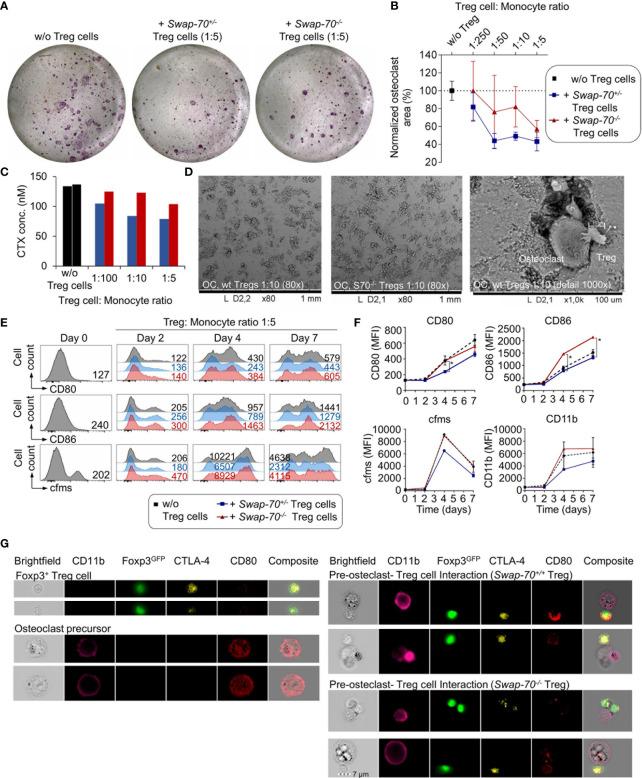 https://cdn.ncbi.nlm.nih.gov/pmc/blobs/d8dd/8963504/01bec67494b8/fimmu-13-836646-g004.jpg