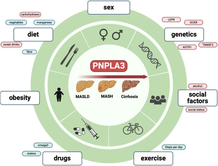 https://cdn.ncbi.nlm.nih.gov/pmc/blobs/d8df/11815600/3d7f122c1b11/LIV-45-0-g003.jpg