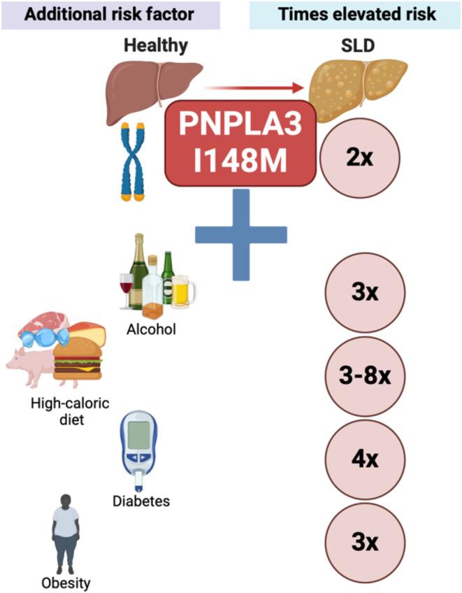 https://cdn.ncbi.nlm.nih.gov/pmc/blobs/d8df/11815600/54c62691fa70/LIV-45-0-g002.jpg