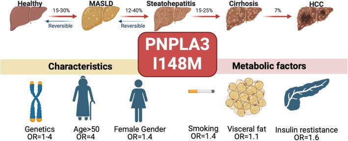 https://cdn.ncbi.nlm.nih.gov/pmc/blobs/d8df/11815600/5775c20331c4/LIV-45-0-g001.jpg