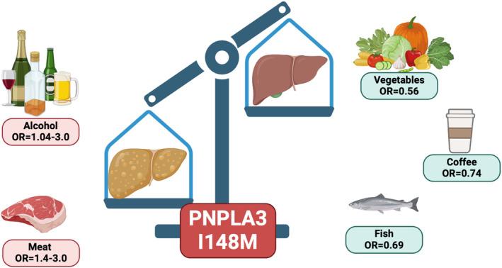 https://cdn.ncbi.nlm.nih.gov/pmc/blobs/d8df/11815600/dd0cfbd2b544/LIV-45-0-g004.jpg
