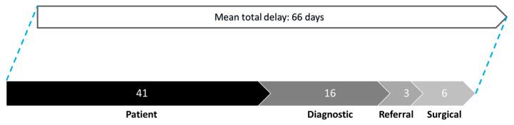 https://cdn.ncbi.nlm.nih.gov/pmc/blobs/d8df/11852822/9d2fefbd5f36/cancers-17-00595-g001.jpg