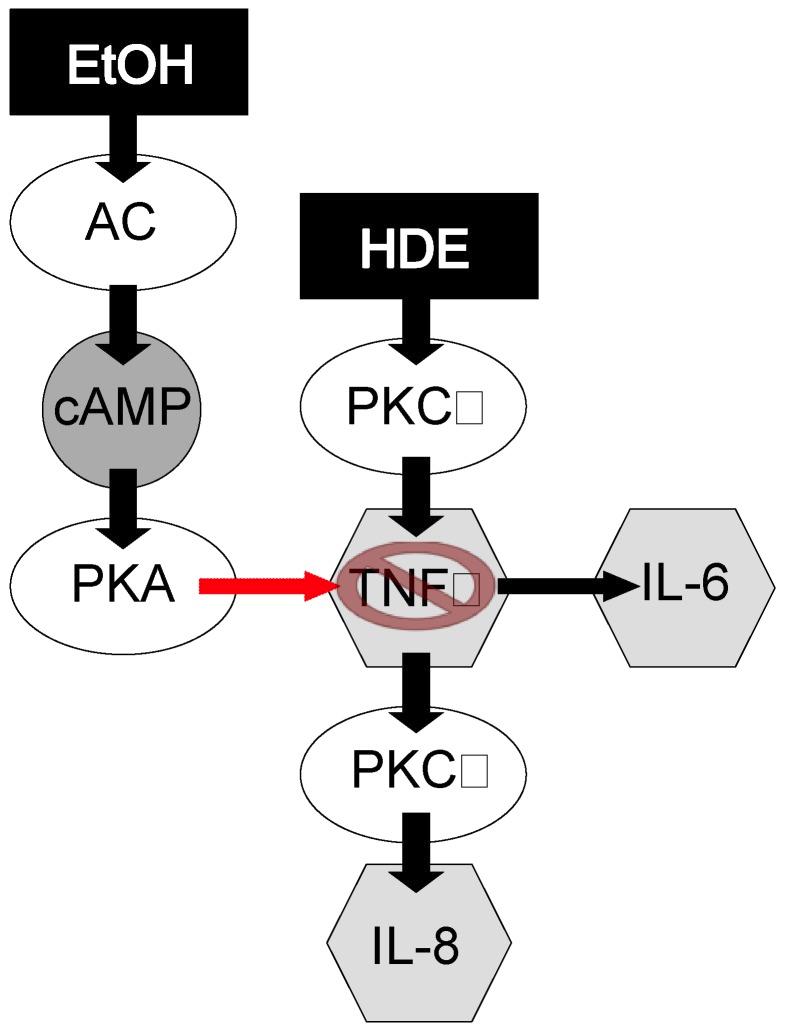 https://cdn.ncbi.nlm.nih.gov/pmc/blobs/d8df/3407989/5ba77c0f76c1/nutrients-04-00695-g008.jpg
