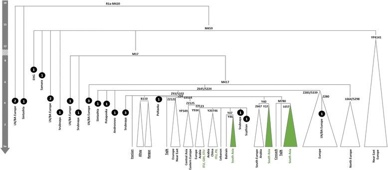https://cdn.ncbi.nlm.nih.gov/pmc/blobs/d8df/5364613/9b585ff92ac4/12862_2017_936_Fig5_HTML.jpg