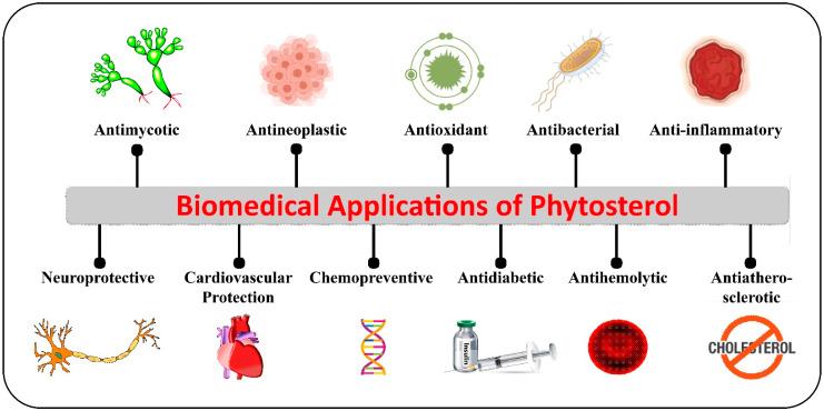 https://cdn.ncbi.nlm.nih.gov/pmc/blobs/d8e2/8657749/6430938aafd2/ijms-22-12691-g003.jpg