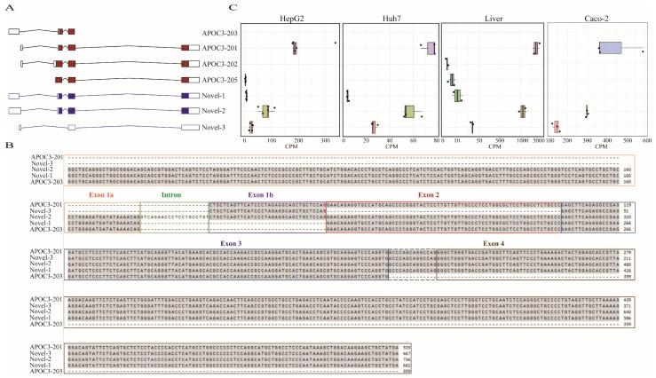 https://cdn.ncbi.nlm.nih.gov/pmc/blobs/d8e5/12027394/6f4bf05d1aa7/genes-16-00412-g001.jpg