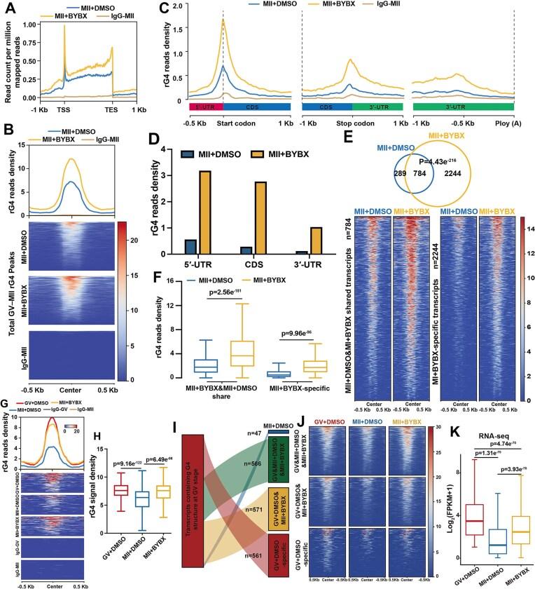 https://cdn.ncbi.nlm.nih.gov/pmc/blobs/d8e5/12041855/19d26aa6618a/gkaf067fig3.jpg