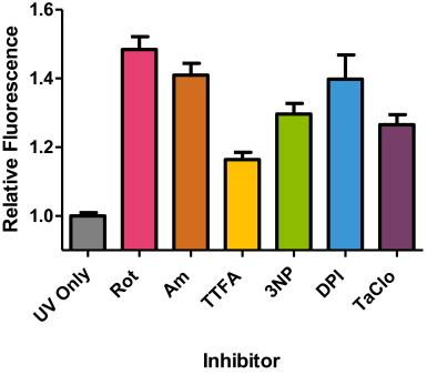 https://cdn.ncbi.nlm.nih.gov/pmc/blobs/d8e5/4215388/2eaaa7e7f729/gr4.jpg