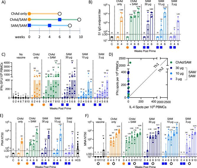 https://cdn.ncbi.nlm.nih.gov/pmc/blobs/d8e6/9174295/035306e0542a/41467_2022_31005_Fig3_HTML.jpg